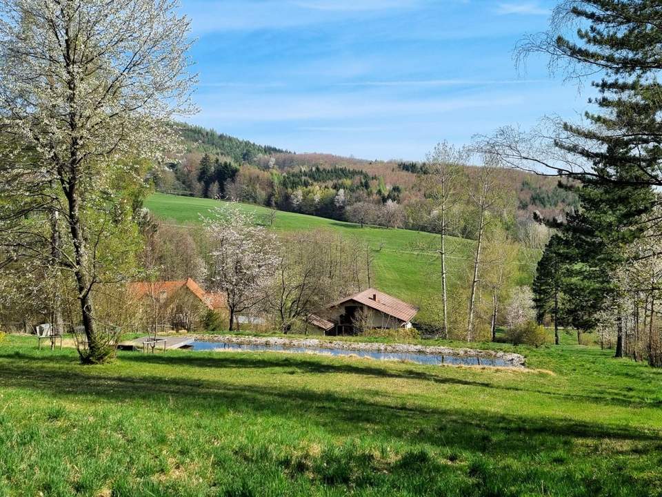PARKGRUNDSTÜCK IN RUHELAGE MIT GEBÄUDEALTBESTAND
