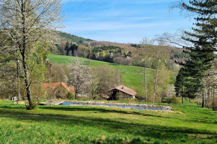 PARKGRUNDSTÜCK IN RUHELAGE MIT GEBÄUDEALTBESTAND, Grund und Boden-kauf, 1.200.000,€, 3021 Sankt Pölten(Land)