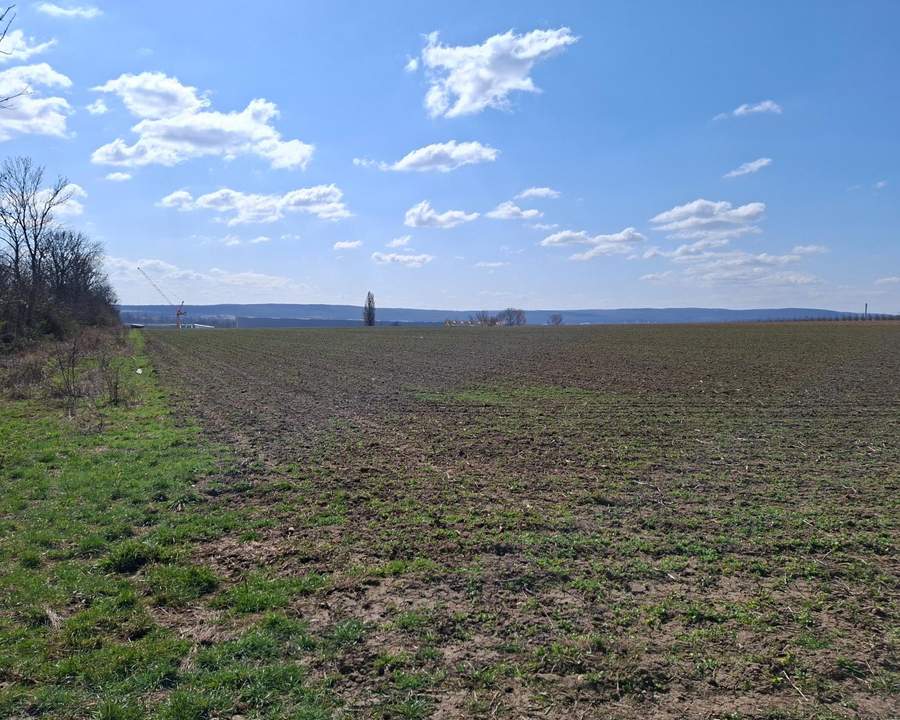 "ATTRAKTIVES GRUNDSTÜCK IN BRUCK AN DER LEITHA"