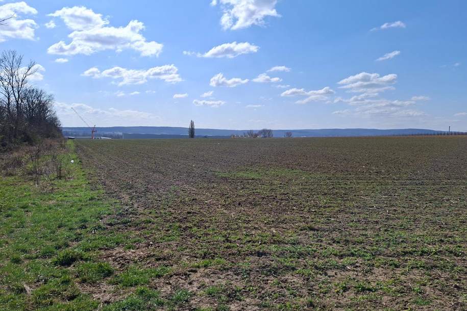 "ATTRAKTIVES GRUNDSTÜCK IN BRUCK AN DER LEITHA", Grund und Boden-kauf, 2460 Bruck an der Leitha