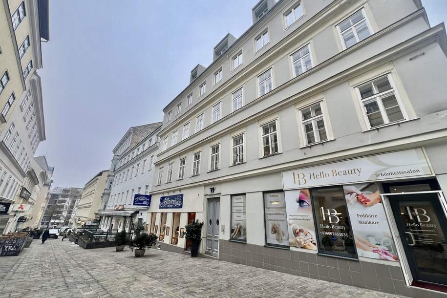 1060! BARNABITENGASSE! 2 Zimmer mit großer TERRASSE in TOP LAGE bei der Mariahilferstraße zum Kauf!, Wohnung-kauf, 549.000,€, 1060 Wien 6., Mariahilf