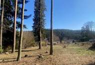 Ruhig, grün und sonnig! Schöner Baugrund im beschaulichen Walpersbach Nähe Bad Erlach