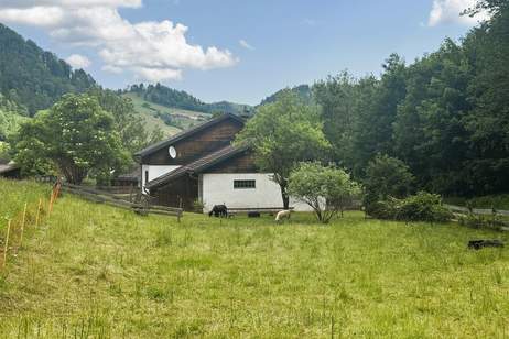 Einmaliges Ambiente - Das ist Entschleunigung pur!, Haus-kauf, 295.000,€, 2734 Neunkirchen