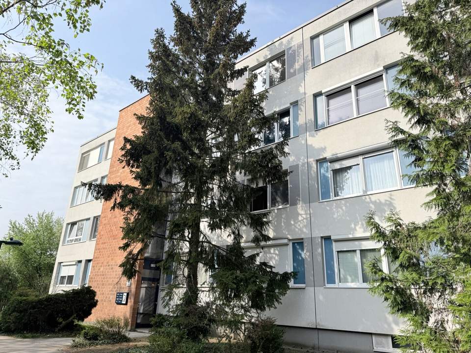 Sanierungsbedürftige 3-Zimmer-Wohnung in ruhiger Grünlage der Südstadt