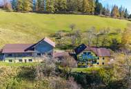 ALLEINLAGE - INTAKTE NATUR - HERRLICHE AUSSICHT - IHR TRAUM? GERNE BAUER?