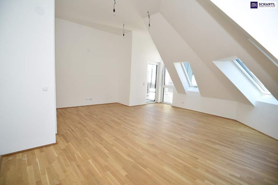 WOW - Ein wahrer DOM mit drei Zimmer, süßer Terrasse und bester Lage!, Wohnung-kauf, 698.000,€, 1180 Wien 18., Währing