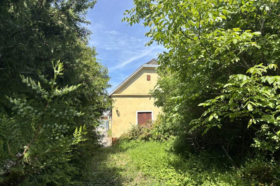 Zwei stark renovierungsbedürftige Häuser mit Garten und Garage in Mehrparteienhof in Rechnitz, Haus-kauf, 30.000,€, 7471 Oberwart