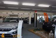 Attraktives Autohaus mit großem Schauraum und Stellflächen – ca. 910 m², Baden