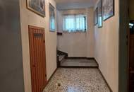 "Miethaus mit Terrasse und Garten - Breitenlee - Neuessling"