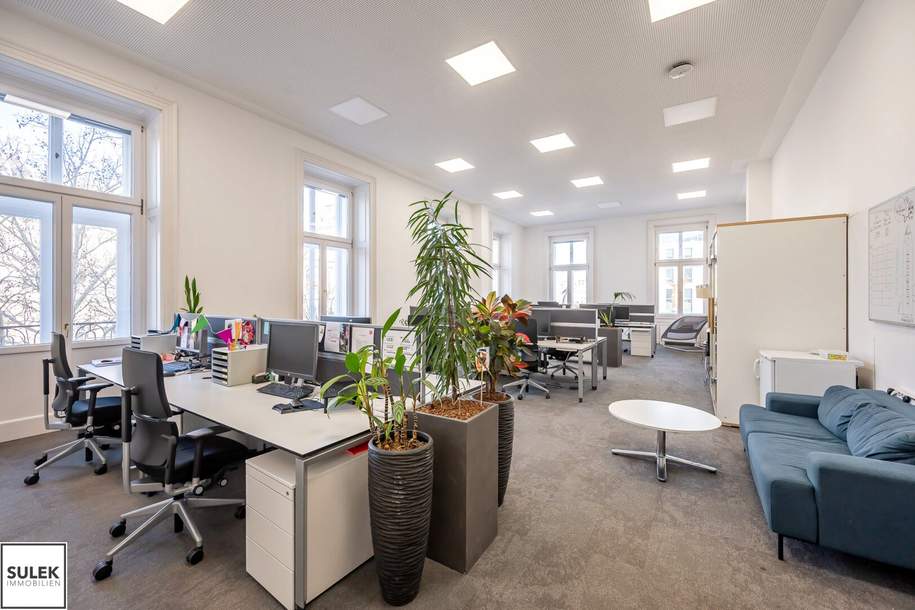 Universitätsring 8: repräsentative Bürofläche mit sehr guter Aufteilung und Ausstattung, Gewerbeobjekt-miete, 14.195,00,€, 1010 Wien 1., Innere Stadt