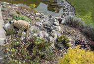 super Lage, tolles Haus