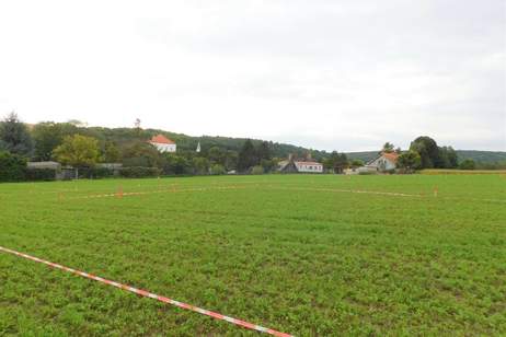 Baugrundstücke in Niederkreuzstetten in traumhafter Lage im Herzen des Weinviertels, Grund und Boden-kauf, 195,€, 2124 Mistelbach
