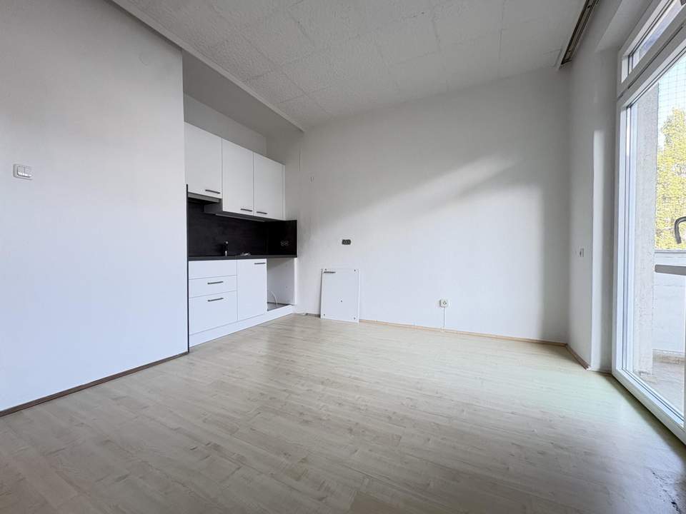 1 Zimmer Wohnung mit neuer Küche und schönem Balkon