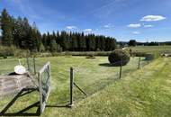 Wohnhaus mit landwirtschaftl. Nutzgrund