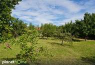 Baurecht: Obstgarten-Paradies mit charmantem Haus