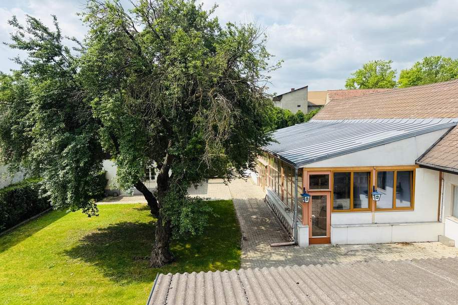 Sonderobjekt - Große attraktive Liegenschaft, Gewerbeobjekt-kauf, 749.999,€, 2424 Neusiedl am See