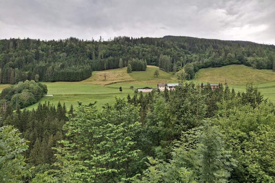 Sonnseitblick - Wohnen mit Panorama-Bergblick, Wohnung-miete, 394,30,€, 5660 Zell am See