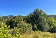 Exklusive Lage mit Dambergpanorama