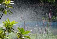 Charmantes Einfamilienhaus in Bestlage von Wien-Mauer – mit Pool, Garten und viel Privatsphäre | ZΞLLMANN IMMOBILIEN