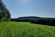 LANDWIRTSCHAFT VOR DEN TOREN WIENS