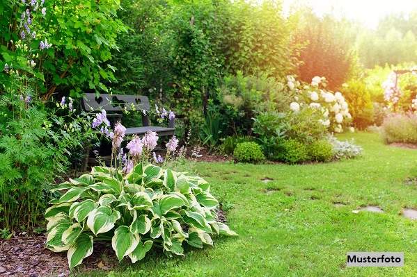 Idyllische Waldfläche im Murauen-Gebiet - Natur pur an der Mur, Grund und Boden-kauf, 1.900,€, 8472 Leibnitz