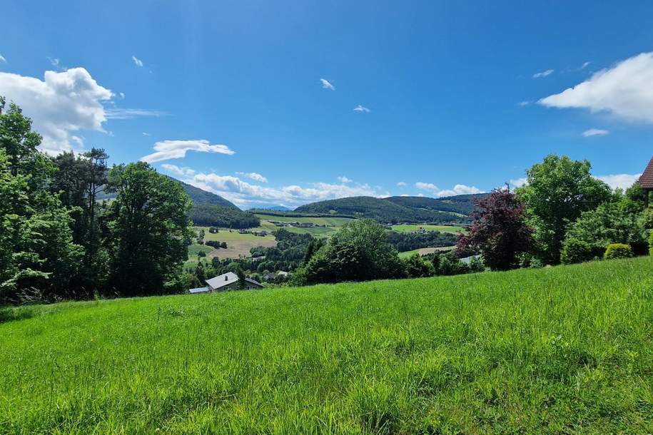 Grundstück mit Seeblick in der Oststeiermark., Grund und Boden-kauf, 49.000,€, 8223 Hartberg-Fürstenfeld