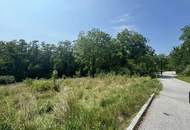 Zwei Baugrundstücke mit angrenzender Waldfläche in Hartberg - Am Brühlbach