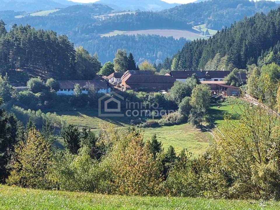 Mühlviertler Hof mit 15,2 ha in Alleinlage – Paradies für Visionäre, Familien & Gemeinschaftsprojekte