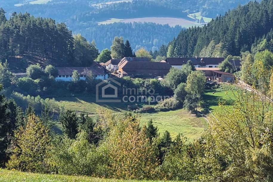 Mühlviertler Hof mit 15,2 ha in Alleinlage – Paradies für Visionäre, Familien &amp; Gemeinschaftsprojekte, Gewerbeobjekt-kauf, 910.385,€, 4294 Freistadt