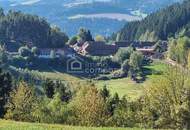 Mühlviertler Hof mit 15,2 ha in Alleinlage – Paradies für Visionäre, Familien & Gemeinschaftsprojekte
