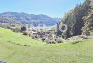 Baugrund 1.177 m² mit Donaublick - Südhang - mit angrenzenden kleinen Grünland 255 m² - St. Nikola