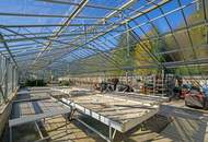 Gärtnerei nahe Tulln &amp; Wien: Betriebsimmobilie mit Glashäusern, Außenflächen, Lagerhalle und Wohnhaus