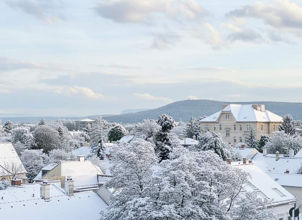 Dachgeschoss mit Traumblick!