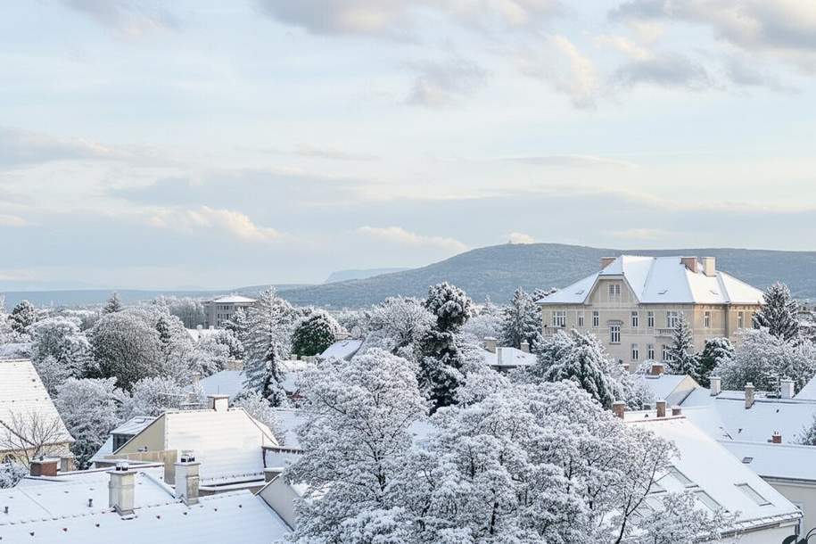 Dachgeschoss mit Traumblick!, Wohnung-kauf, 249.000,€, 2500 Baden