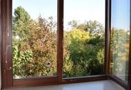 Eleganter "Retro-Style" - Großzügige, sonnige, ruhige Wohnung mit Süd-Loggia! 2 Garagenplätze!