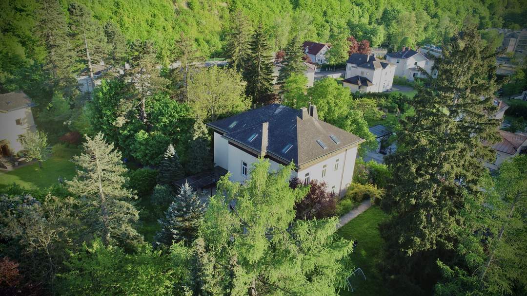 Mitten im Grünen & im Villenviertel: exklusive Gartenwohnung mit ca. 930 m² Außenfläche, beheiztem Wintergarten, Pool, Luftwärmepumpe u.v.m.!