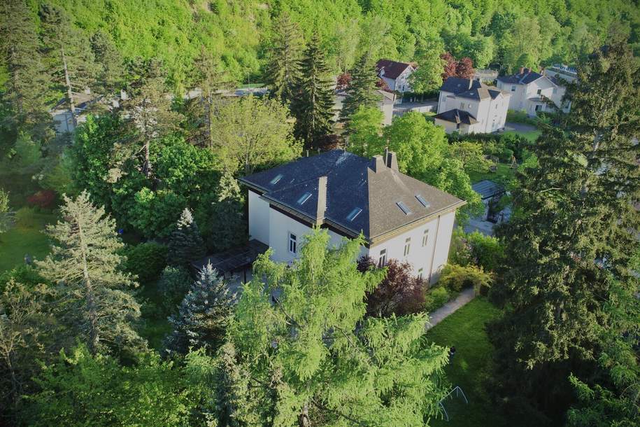 Mitten im Grünen & im Villenviertel: exklusive Gartenwohnung mit ca. 930 m² Außenfläche, beheiztem Wintergarten, Pool, Luftwärmepumpe u.v.m.!, Wohnung-kauf, 1.100.000,€, 3002 Sankt Pölten(Land)