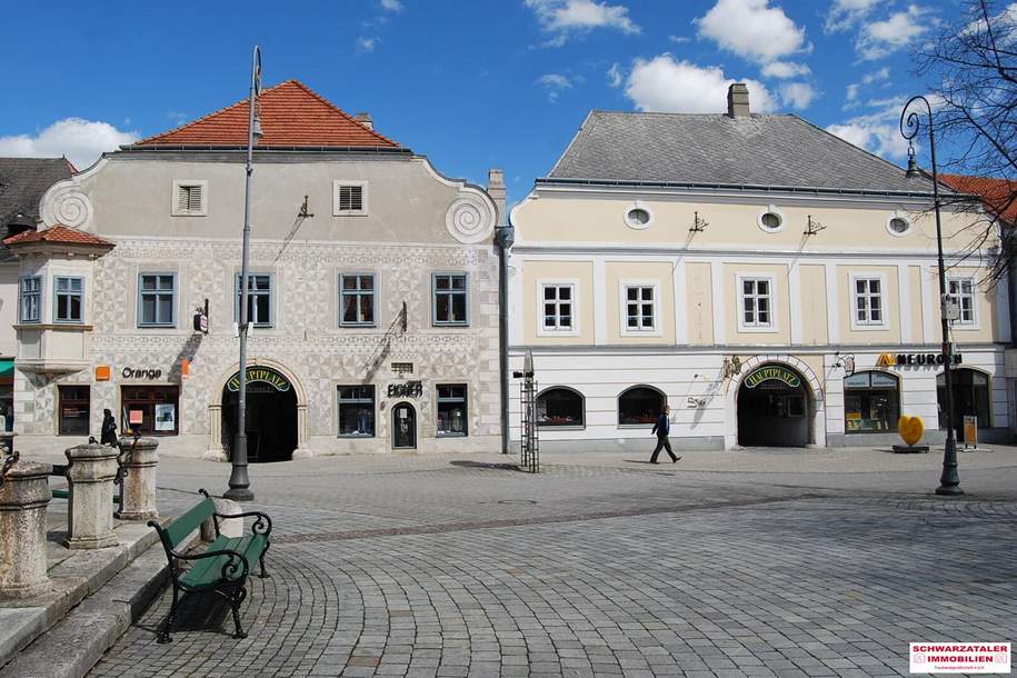 Schöne Mietwohnung in der Hauptplatzpassage in Neunkirchen!, Wohnung-miete, 644,00,€, 2620 Neunkirchen