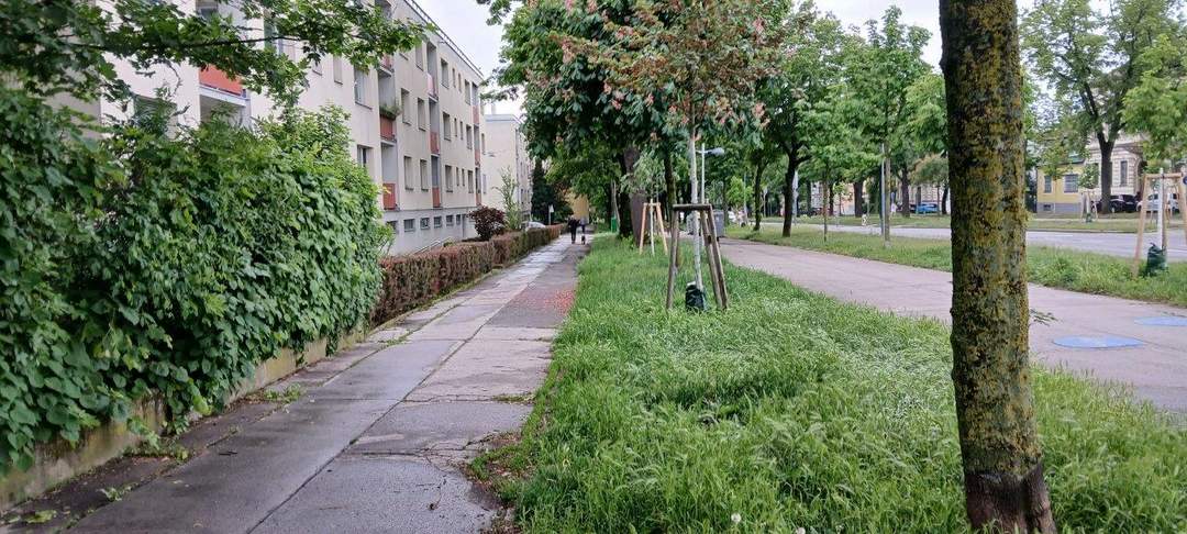 "Koffer packen & einziehen!"