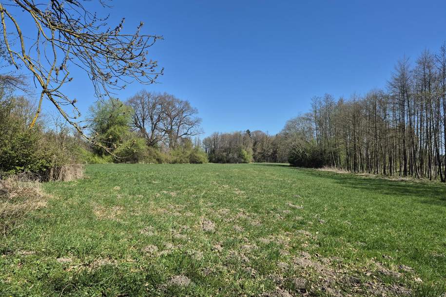 landwirtschaftlicher Grund mit Wald, Grund und Boden-kauf, 120.000,€, 4963 Braunau am Inn