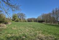 landwirtschaftlicher Grund mit Wald