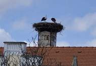 Wohnhaus mit Altbestand und Scheune