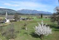 Sanierungsbedürftiges Mehrfamilienhaus mit großem Baugrundstück