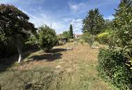 Großzügige Liegenschaft mit Altbestand und großem Garten in Tulln
