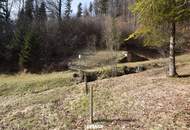 Ca. 16 ha Vielseitige Land- und Forstwirtschaftsflächen im Sackgraben – Gnadenberg
