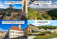 MASSIVE PREISREDUKTION! - "Neubauvilla an der Weinstraße!"