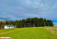 Baugrundstück für Bauträger im Ausmaß von 5.696 m² mit Almcharakter