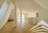 *N49* Einzigartiges 4 Zimmer Neubau-Penthouse mit Terrasse zum Erstbezug