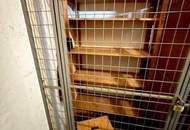 Lager - Kaiserstraße 63 - Provisionsfrei!