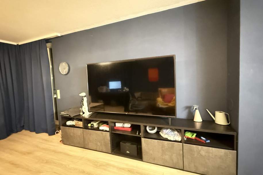 Donaupark nur einen Sprung entfernt: Möblierte 3 Zimmer mit Loggia!, Wohnung-miete, 1.750,00,€, 1220 Wien 22., Donaustadt